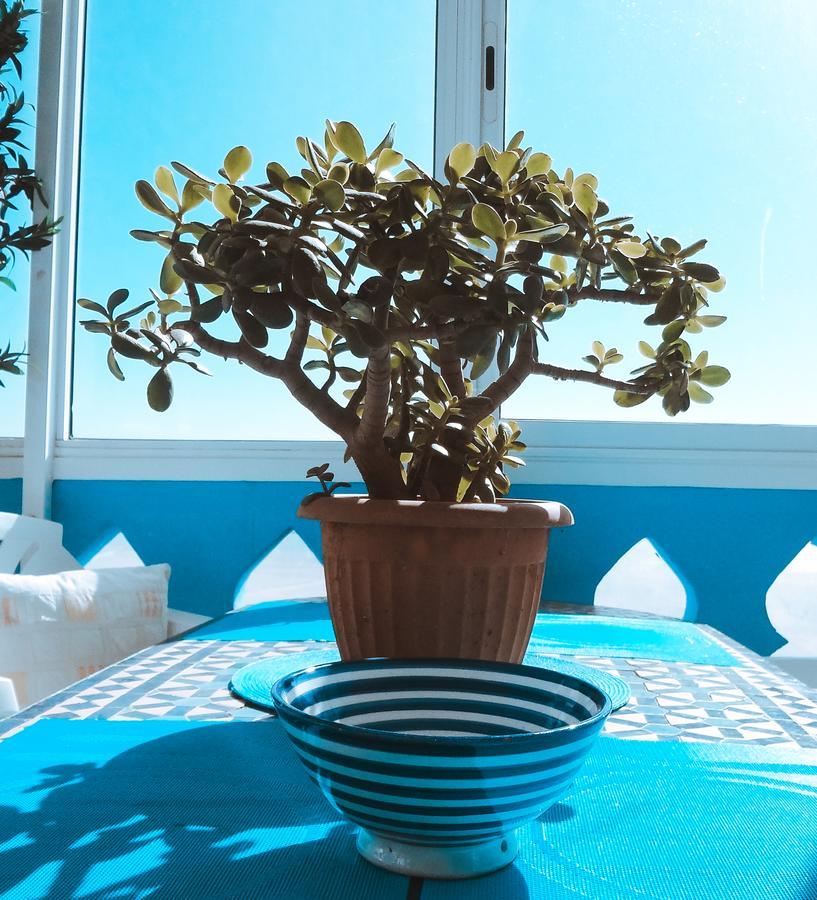 Surf & Yoga Paradise Morocco Vandrarhem Tamraght Ou Fella Exteriör bild
