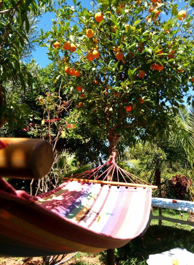 Surf & Yoga Paradise Morocco Vandrarhem Tamraght Ou Fella Exteriör bild